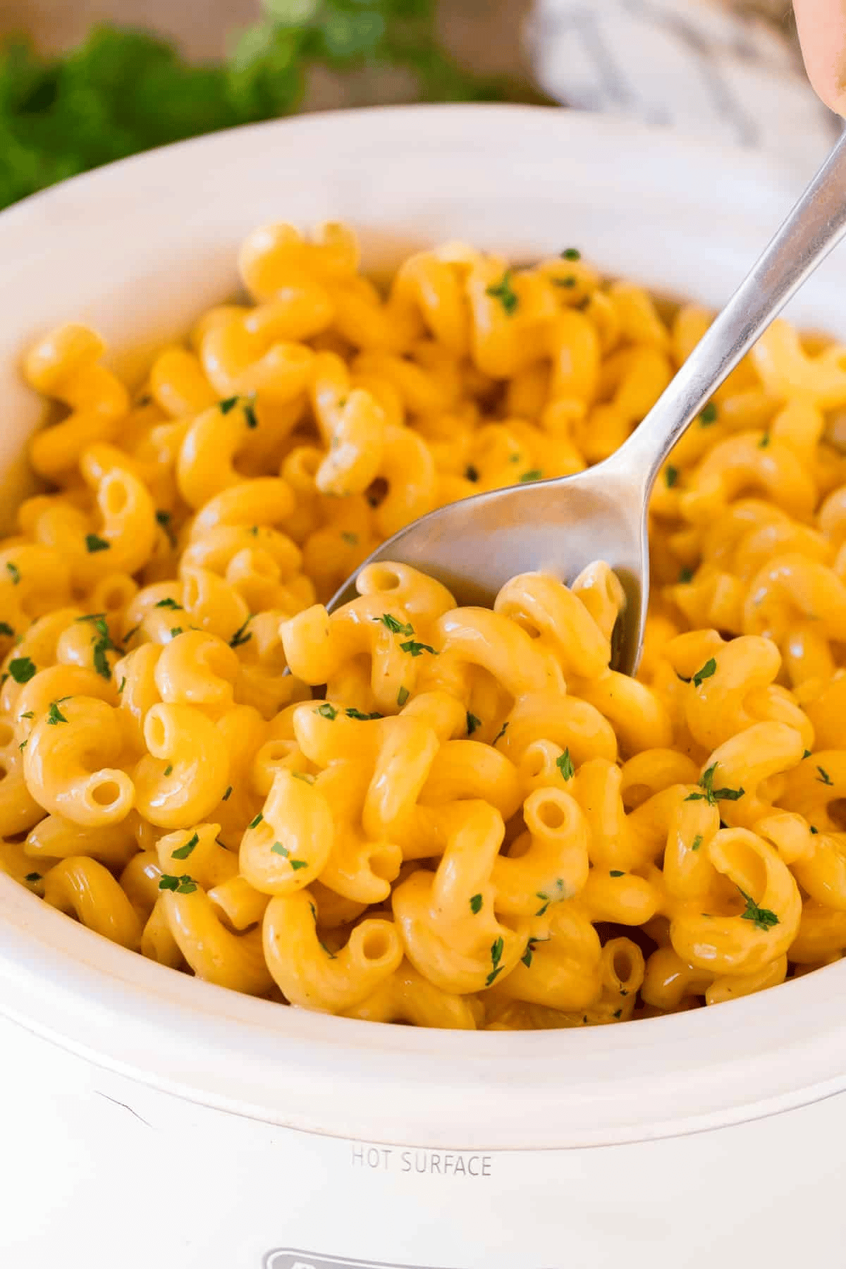 How To Make Mac And Cheese Without Milk - Christina Iaboni - Healthy Living